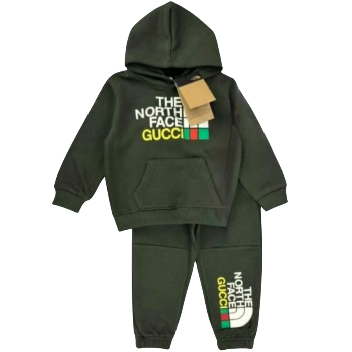 CONJUNTO SUDADERA THE NORTH FACE