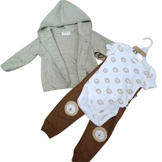 CONJUNTO IMPORTADO 3 PIEZAS LEONES